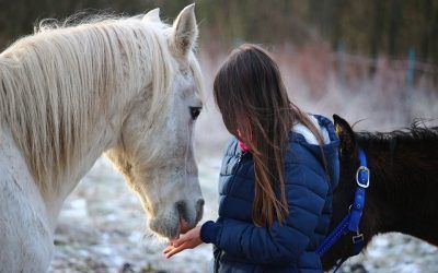 El coaching con caballos como herramienta para reforzar la autoestima