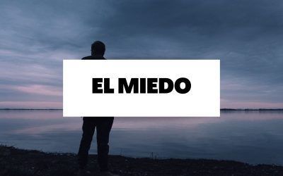 Descubre todo sobre el miedo