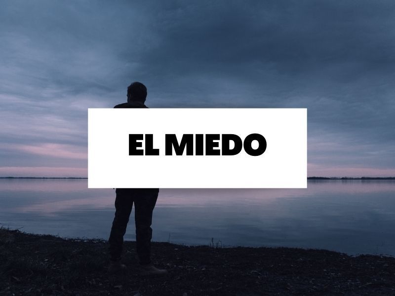 Descubre todo sobre el miedo